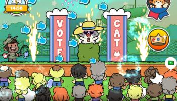 levels in politicats